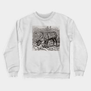 Reindeer Vintage Wildlife Illustration Crewneck Sweatshirt